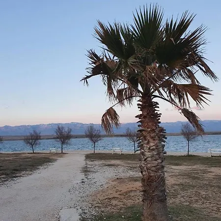 Callista Apartmán Vir