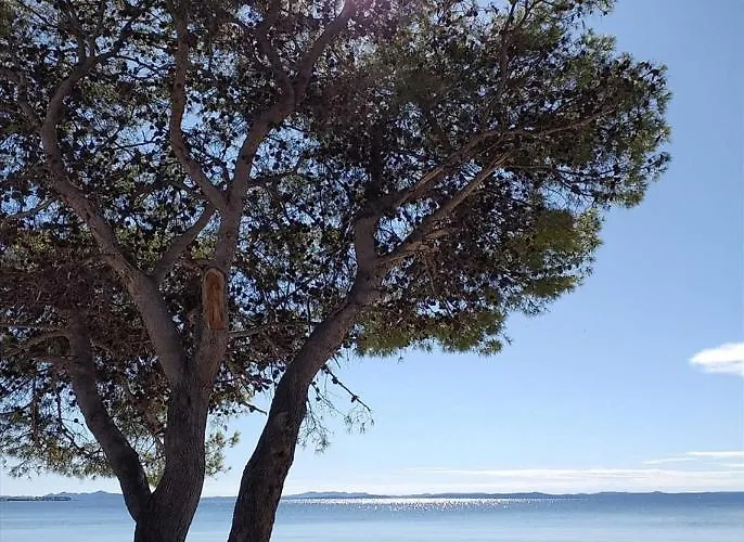 アパート Callista